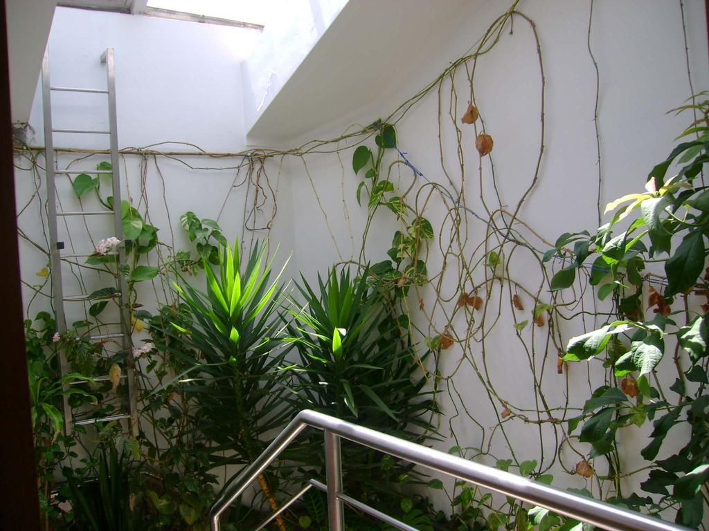فندق Residencial Moeda كويمبرا المظهر الخارجي الصورة