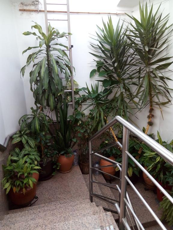 فندق Residencial Moeda كويمبرا المظهر الخارجي الصورة